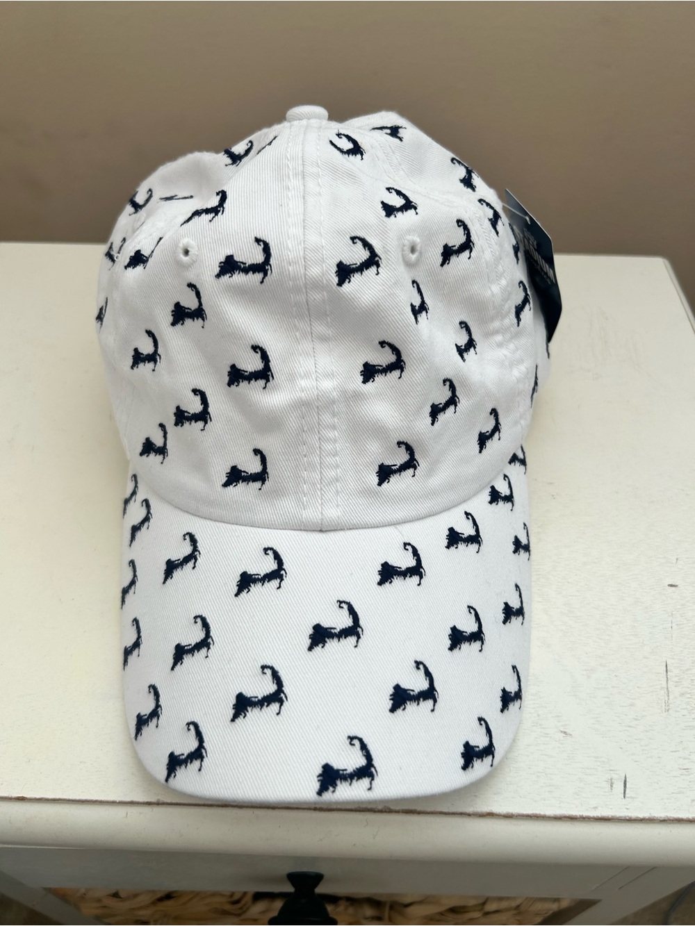 White Baseball Cap with Navy Blue Cape Cod Embroidery